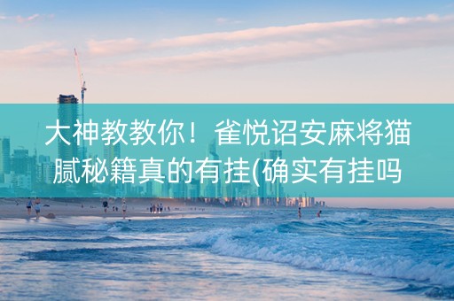 大神教教你！雀悦诏安麻将猫腻秘籍真的有挂(确实有挂吗)