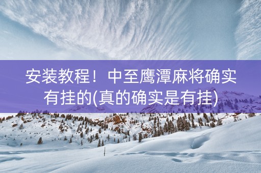 安装教程！中至鹰潭麻将确实有挂的(真的确实是有挂)