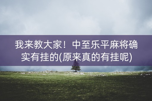 我来教大家！中至乐平麻将确实有挂的(原来真的有挂呢)