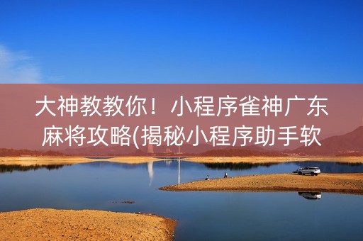 大神教教你！小程序雀神广东麻将攻略(揭秘小程序助手软件)