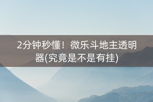 2分钟秒懂！微乐斗地主透明器(究竟是不是有挂)