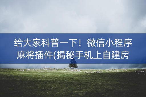 给大家科普一下！微信小程序麻将插件(揭秘手机上自建房怎么赢)