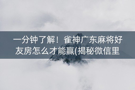 一分钟了解！雀神广东麻将好友房怎么才能赢(揭秘微信里如何让牌变好)