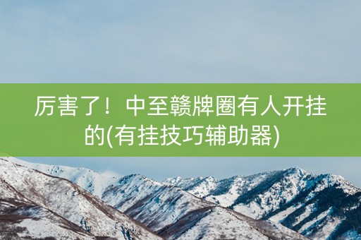 厉害了！中至赣牌圈有人开挂的(有挂技巧辅助器)