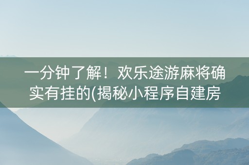 一分钟了解！欢乐途游麻将确实有挂的(揭秘小程序自建房怎么赢)