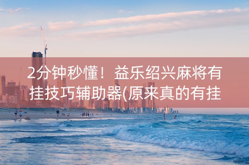 2分钟秒懂！益乐绍兴麻将有挂技巧辅助器(原来真的有挂)