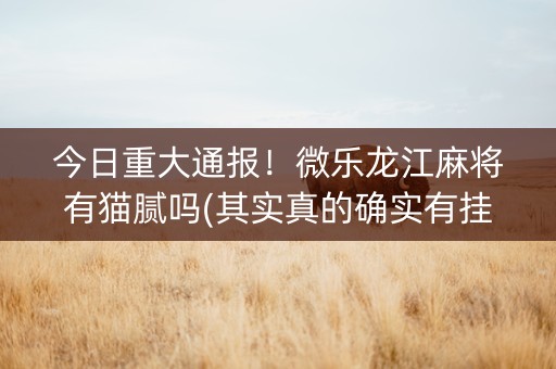 今日重大通报！微乐龙江麻将有猫腻吗(其实真的确实有挂)