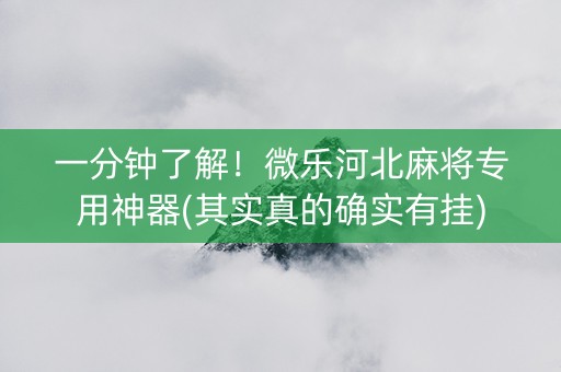 一分钟了解！微乐河北麻将专用神器(其实真的确实有挂)