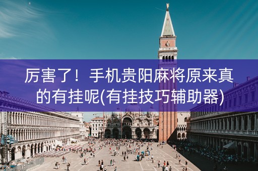 厉害了！手机贵阳麻将原来真的有挂呢(有挂技巧辅助器)
