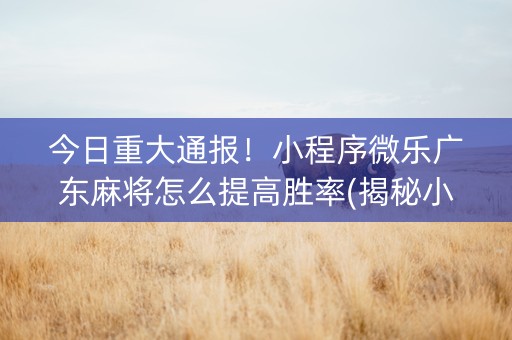 今日重大通报！小程序微乐广东麻将怎么提高胜率(揭秘小程序赢牌技巧)