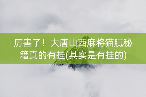厉害了！大唐山西麻将猫腻秘籍真的有挂(其实是有挂的)