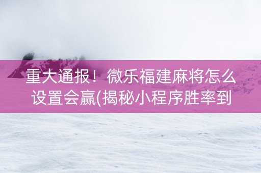 重大通报！微乐福建麻将怎么设置会赢(揭秘小程序胜率到哪调)