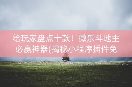 给玩家盘点十款！微乐斗地主必赢神器(揭秘小程序插件免费)