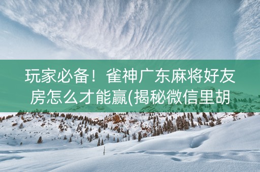 玩家必备！雀神广东麻将好友房怎么才能赢(揭秘微信里胡牌神器)