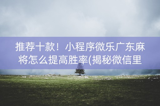 推荐十款！小程序微乐广东麻将怎么提高胜率(揭秘微信里系统发好牌)