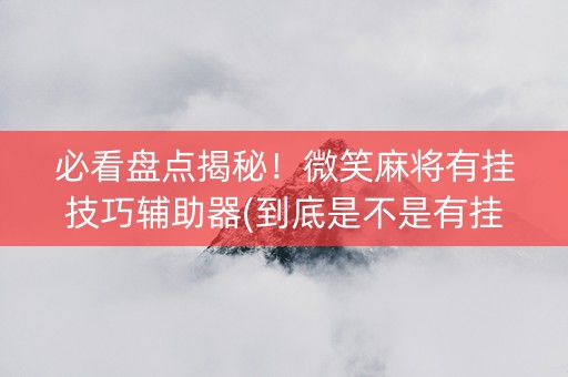 必看盘点揭秘！微笑麻将有挂技巧辅助器(到底是不是有挂)