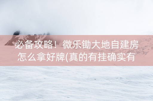必备攻略！微乐锄大地自建房怎么拿好牌(真的有挂确实有挂)