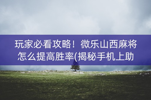 玩家必看攻略！微乐山西麻将怎么提高胜率(揭秘手机上助赢软件)