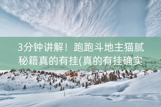 3分钟讲解！跑跑斗地主猫腻秘籍真的有挂(真的有挂确实有挂)