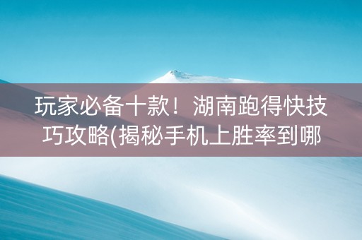 玩家必备十款！湖南跑得快技巧攻略(揭秘手机上胜率到哪调)
