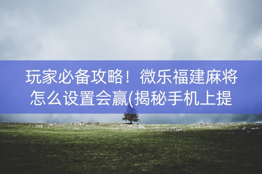 玩家必备攻略！微乐福建麻将怎么设置会赢(揭秘手机上提高胜率)