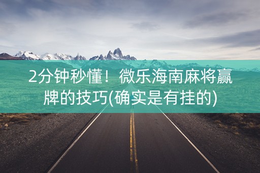 2分钟秒懂！微乐海南麻将赢牌的技巧(确实是有挂的)