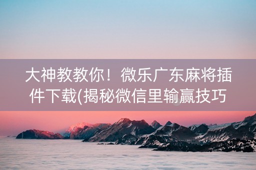 大神教教你！微乐广东麻将插件下载(揭秘微信里输赢技巧)