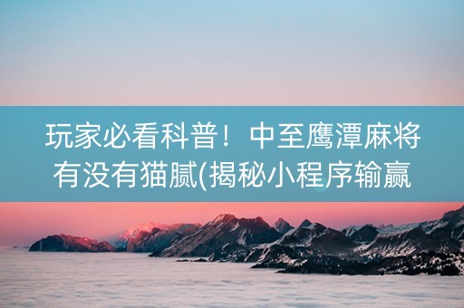 玩家必看科普！中至鹰潭麻将有没有猫腻(揭秘小程序输赢规律)