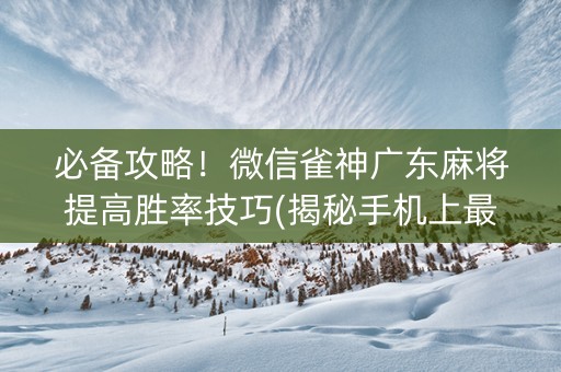 必备攻略！微信雀神广东麻将提高胜率技巧(揭秘手机上最新神器下载)