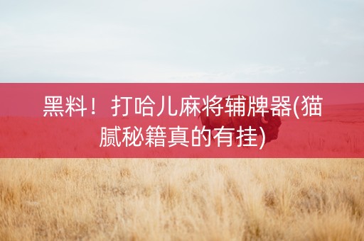 黑料！打哈儿麻将辅牌器(猫腻秘籍真的有挂)