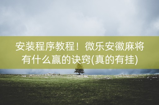 安装程序教程！微乐安徽麻将有什么赢的诀窍(真的有挂)