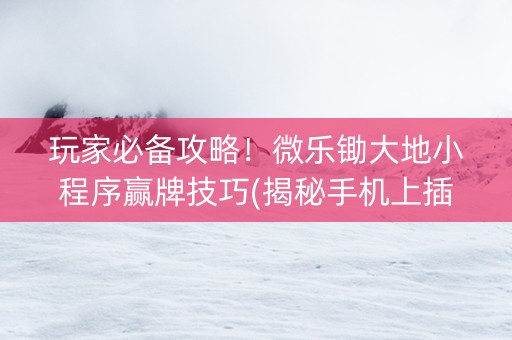 玩家必备攻略！微乐锄大地小程序赢牌技巧(揭秘手机上插件下载)