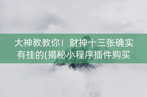 大神教教你！财神十三张确实有挂的(揭秘小程序插件购买)