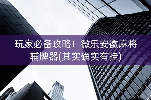 玩家必备攻略！微乐安徽麻将辅牌器(其实确实有挂)