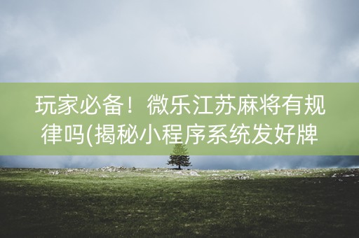 玩家必备！微乐江苏麻将有规律吗(揭秘小程序系统发好牌)