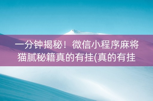 一分钟揭秘！微信小程序麻将猫腻秘籍真的有挂(真的有挂确实有挂)