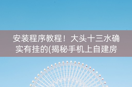 安装程序教程！大头十三水确实有挂的(揭秘手机上自建房怎么赢)