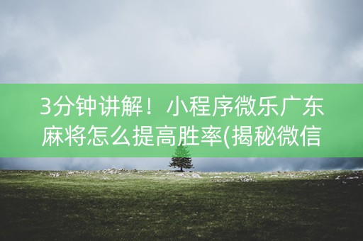 3分钟讲解！小程序微乐广东麻将怎么提高胜率(揭秘微信里助赢软件)