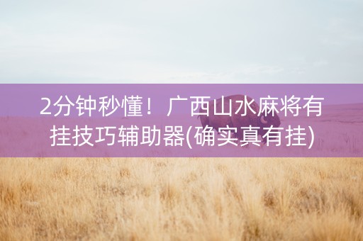 2分钟秒懂！广西山水麻将有挂技巧辅助器(确实真有挂)