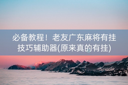 必备教程！老友广东麻将有挂技巧辅助器(原来真的有挂)