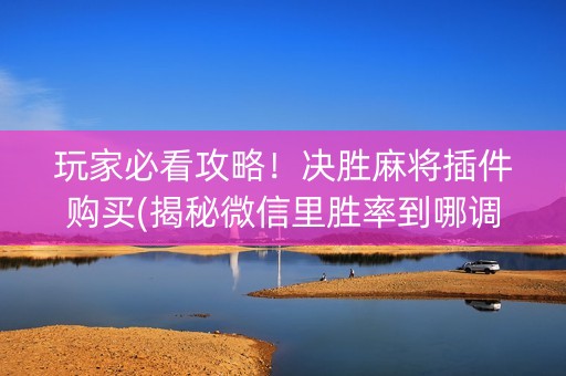 玩家必看攻略！决胜麻将插件购买(揭秘微信里胜率到哪调)