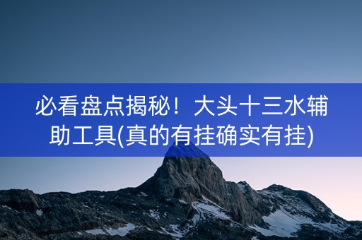 必看盘点揭秘！大头十三水辅助工具(真的有挂确实有挂)