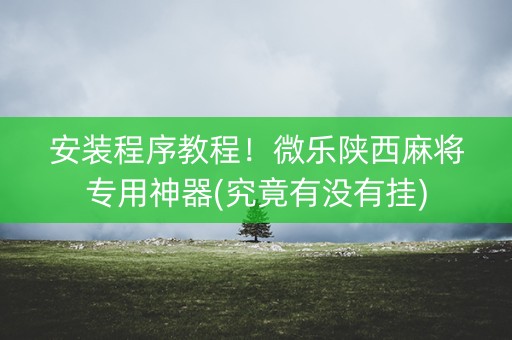 安装程序教程！微乐陕西麻将专用神器(究竟有没有挂)