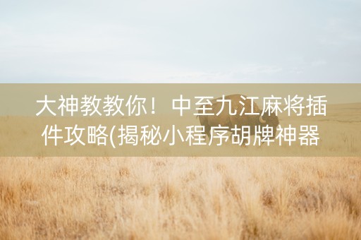 大神教教你！中至九江麻将插件攻略(揭秘小程序胡牌神器)