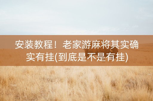 安装教程！老家游麻将其实确实有挂(到底是不是有挂)