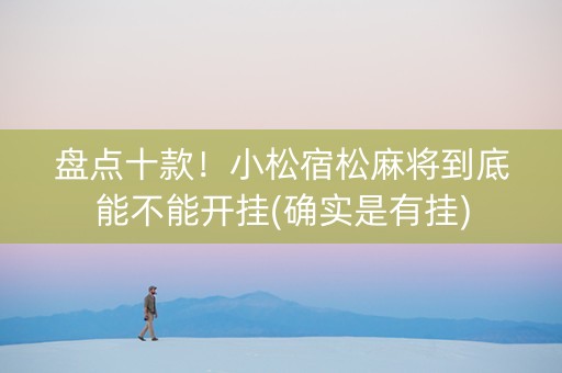 盘点十款！小松宿松麻将到底能不能开挂(确实是有挂)