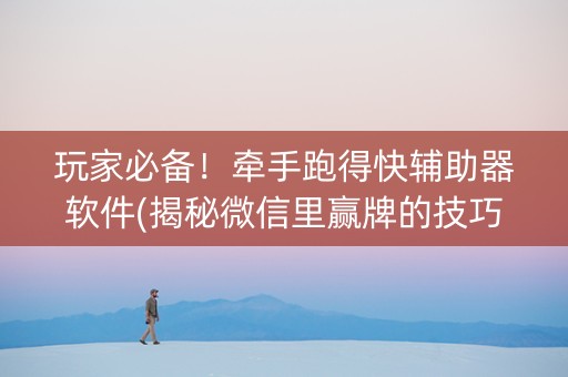 玩家必备！牵手跑得快辅助器软件(揭秘微信里赢牌的技巧)