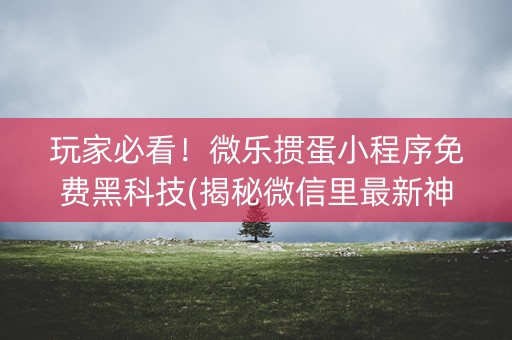 玩家必看！微乐掼蛋小程序免费黑科技(揭秘微信里最新神器下载)