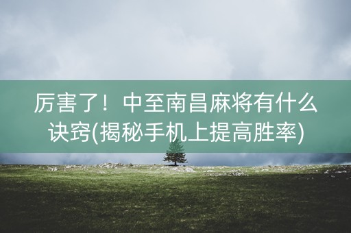 厉害了！中至南昌麻将有什么诀窍(揭秘手机上提高胜率)