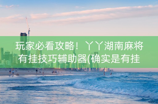 玩家必看攻略！丫丫湖南麻将有挂技巧辅助器(确实是有挂的)